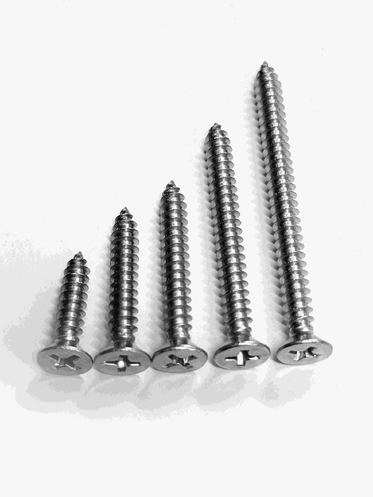 [FS-304-G8-25-STCS] Self Tapping Wood Screw  (25mm, #8)