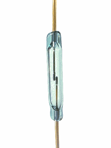 [ELEC-COMP-DSW-01T] Reed Switch Magnetic 