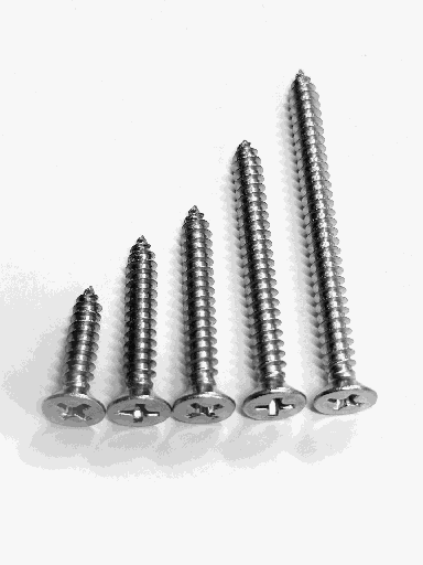 Self Tapping Wood Screw 