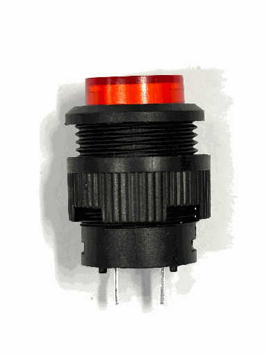 Push Button Switch (Panel Mount)